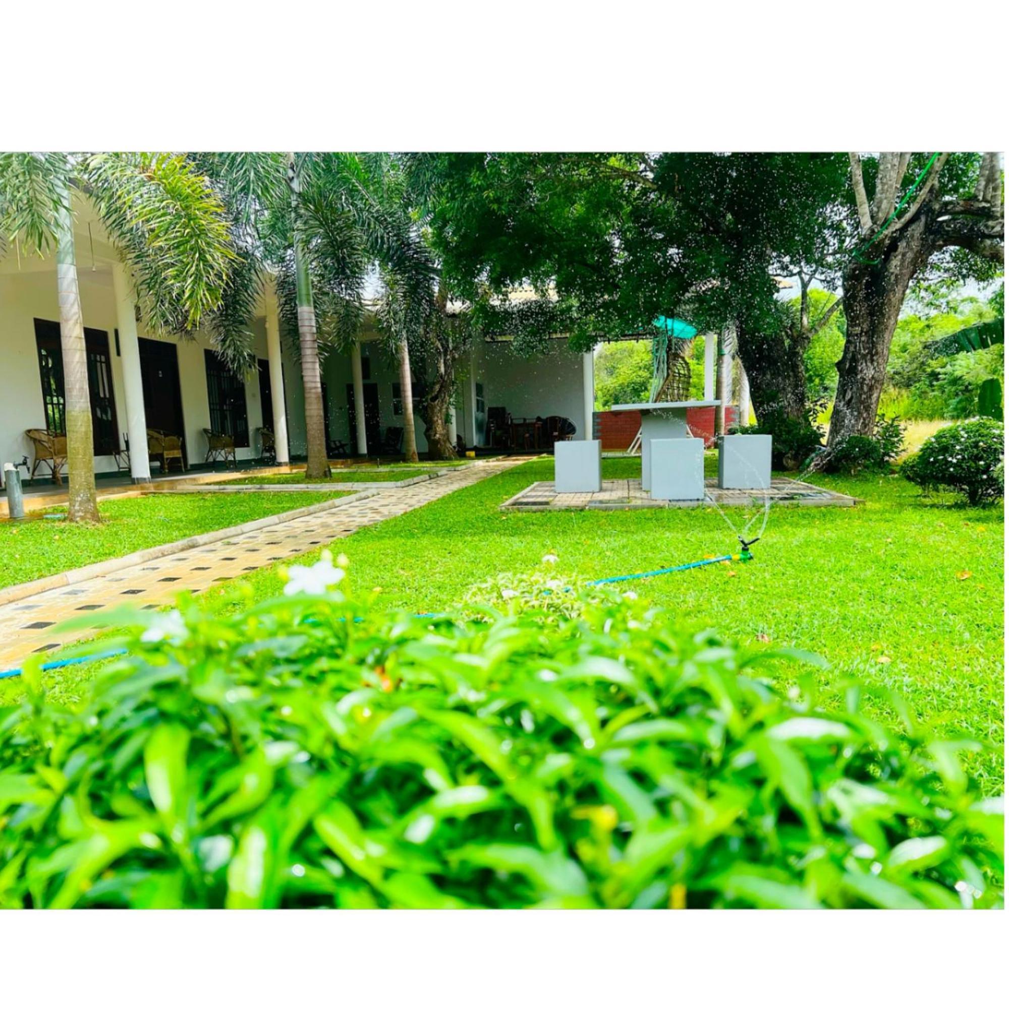 Sigiriya Green Garden Home Esterno foto